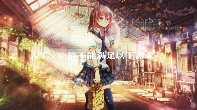 入手NAS能不能满足以下需求？