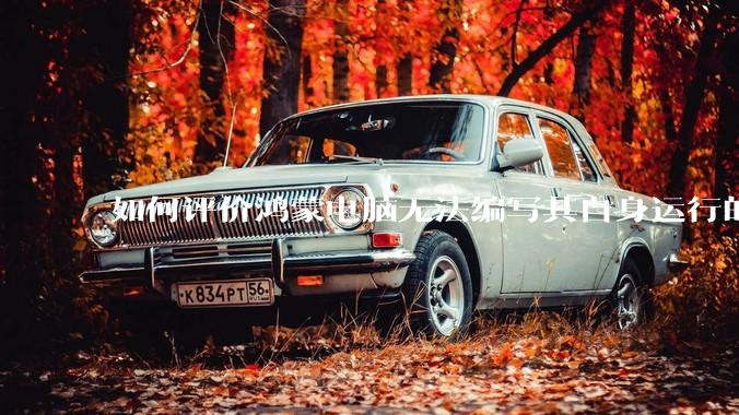 如何评价鸿蒙电脑无法编写其自身运行的程序？